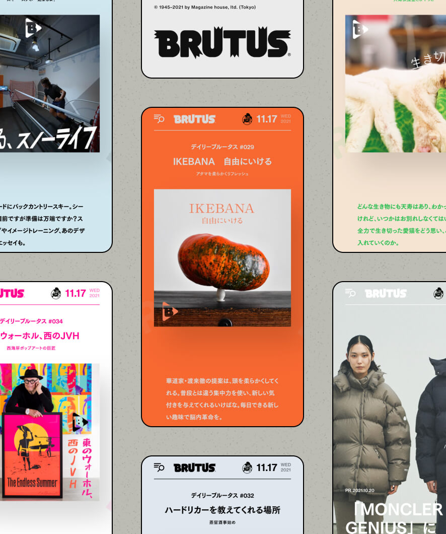BRUTUS Web Renewal